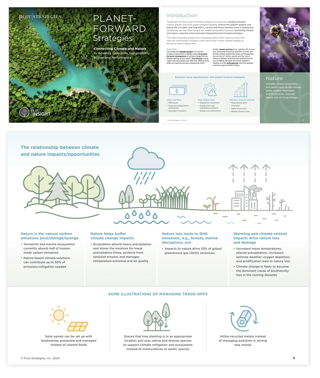 Pure Strategies Report on Planet-Forward Strategies