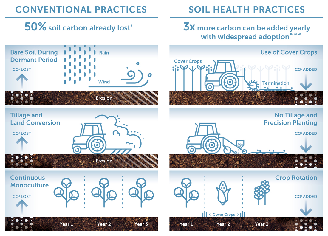 Infographics